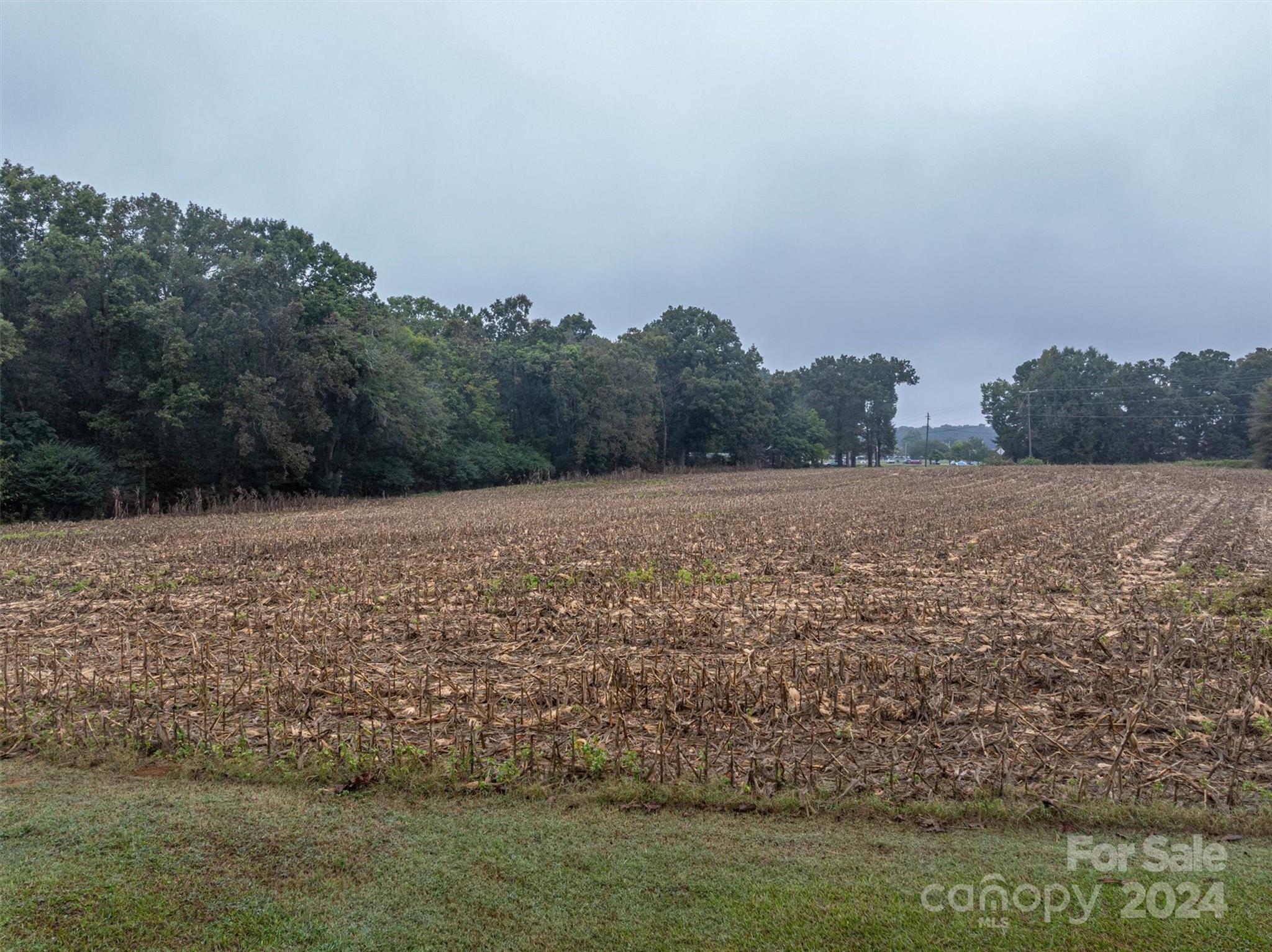 0 Sikes Mill Road Monroe, NC 28110 - Photo 10 of 20