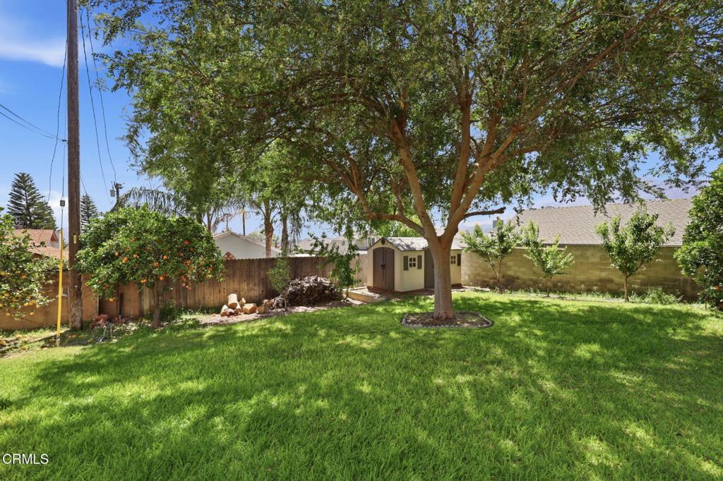 379 Foothill Drive Fillmore, CA 93015 - Photo 45 of 66 51-web-or-mls-IMG_5931