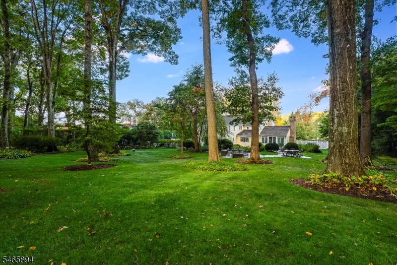 4 Barberry Row Chester, NJ 07930 - Photo 35 of 40 Gallery Image 35
