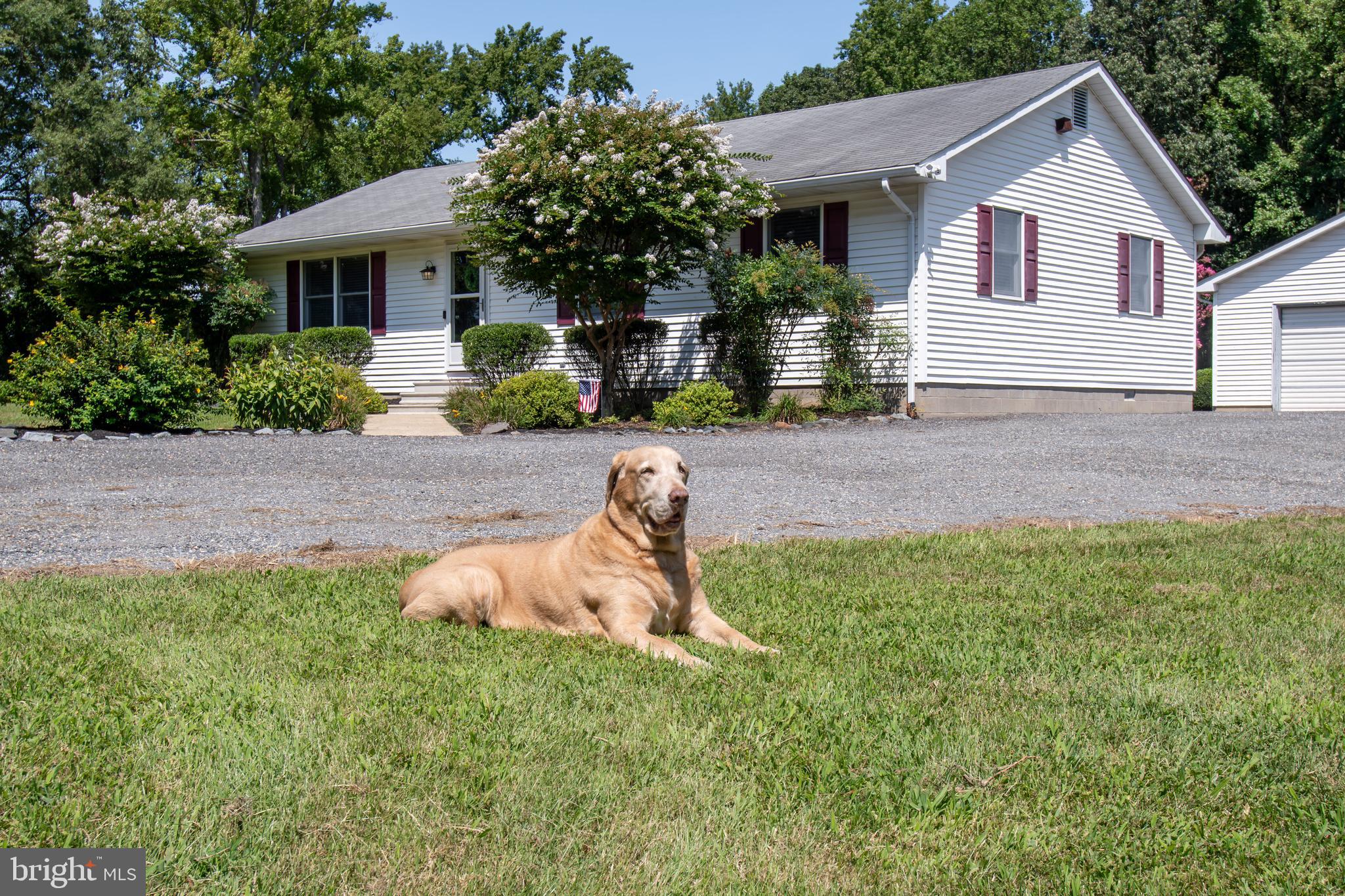 305 Merrick Corner Road Church Hill, MD 21623 - Photo 1 of 29 Gallery Image 1