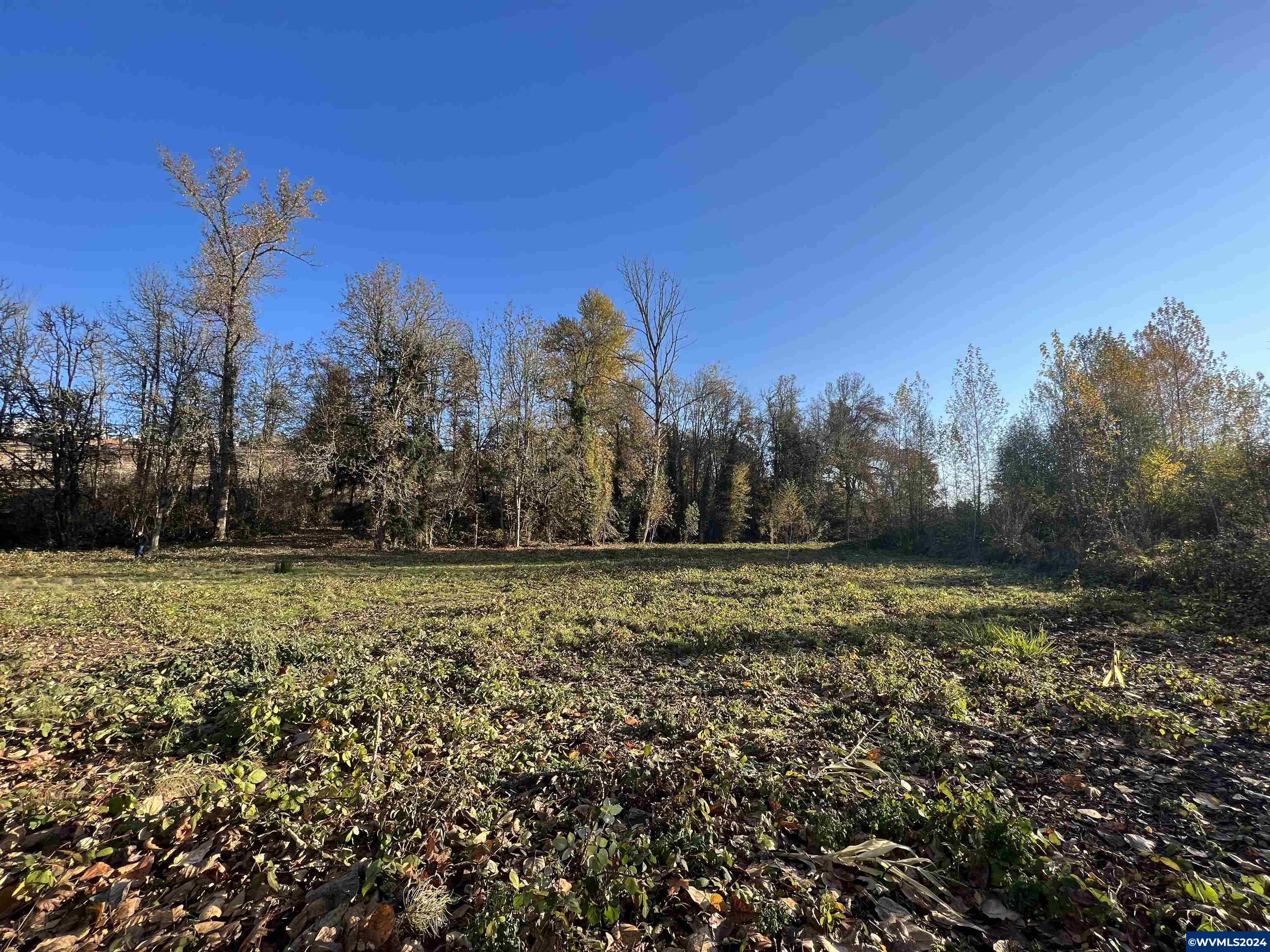 0 Brush College Road Northwest Salem, OR 97304 - Photo 4 of 7