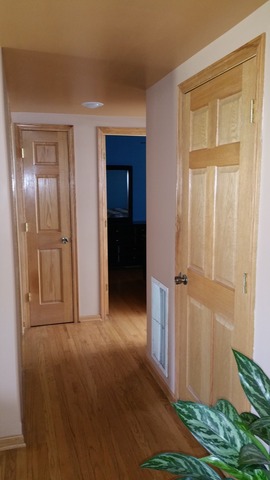 3751 West 157th Street Markham, IL 60428 - Photo 4 of 24