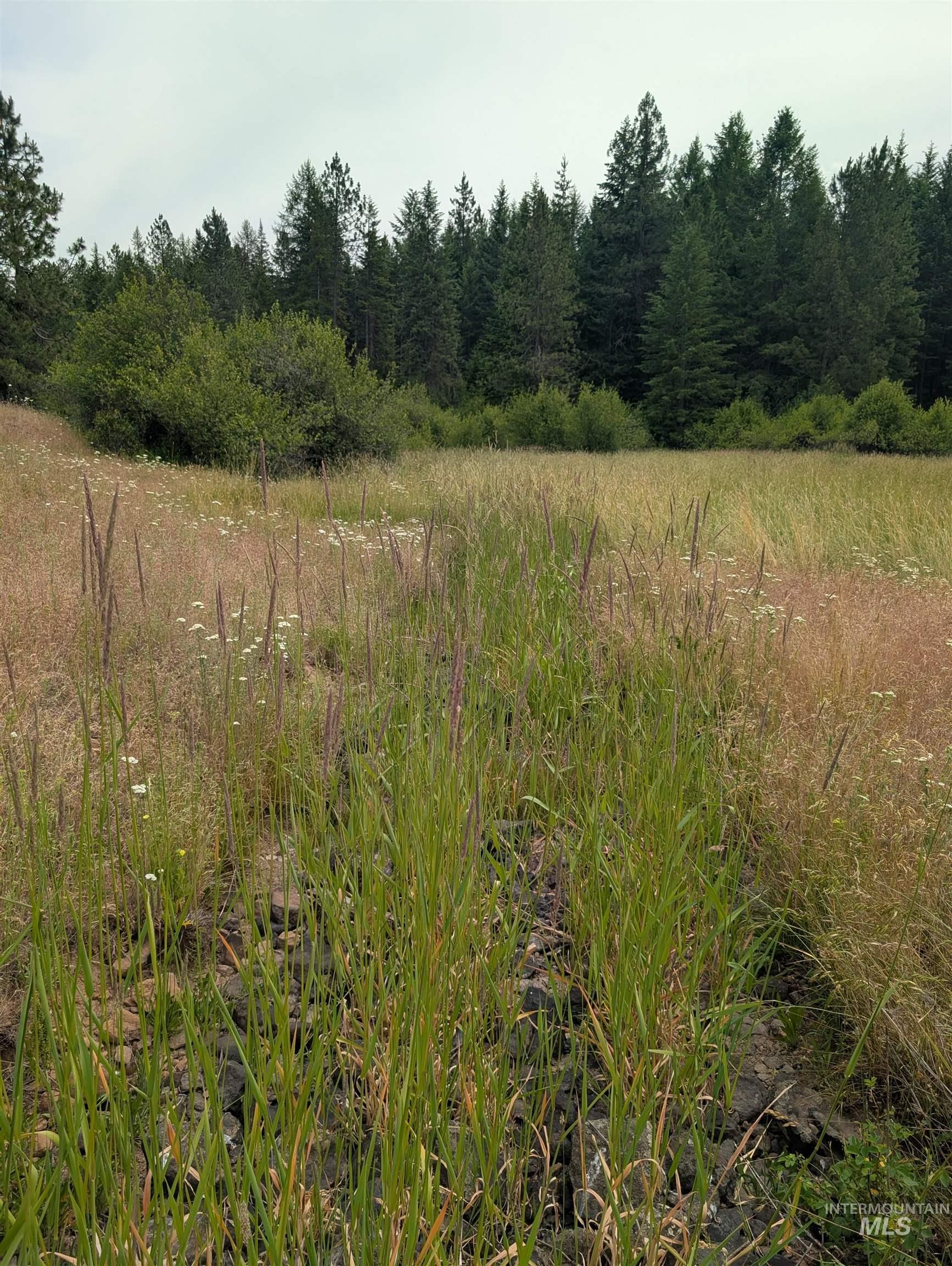 0 Middle Road Lenore, ID 83541 - Photo 43 of 48