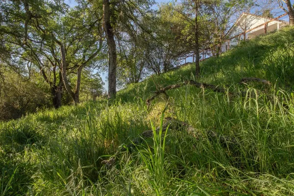 $499,000 | 840 Argonaut Drive, Jackson, CA 95642