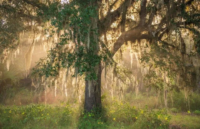 $3,100,000 | 1061 West Harris Road, Arcadia, FL 34266