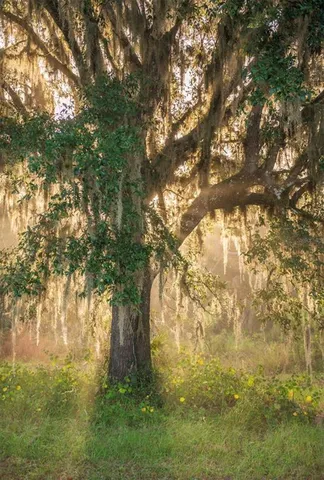 $3,100,000 | 1061 West Harris Road, Arcadia, FL 34266