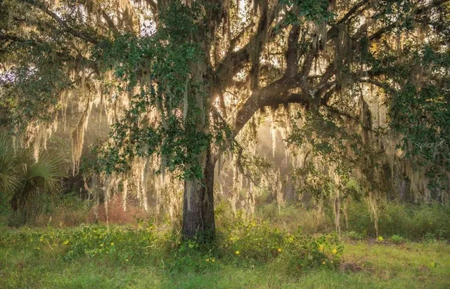 $3,100,000 | 1061 West Harris Road, Arcadia, FL 34266