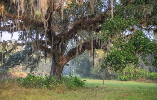 $3,100,000 | 1061 West Harris Road, Arcadia, FL 34266