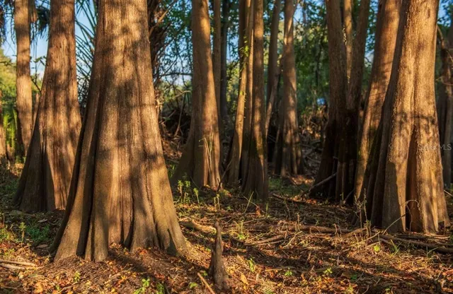 $3,100,000 | 1061 West Harris Road, Arcadia, FL 34266