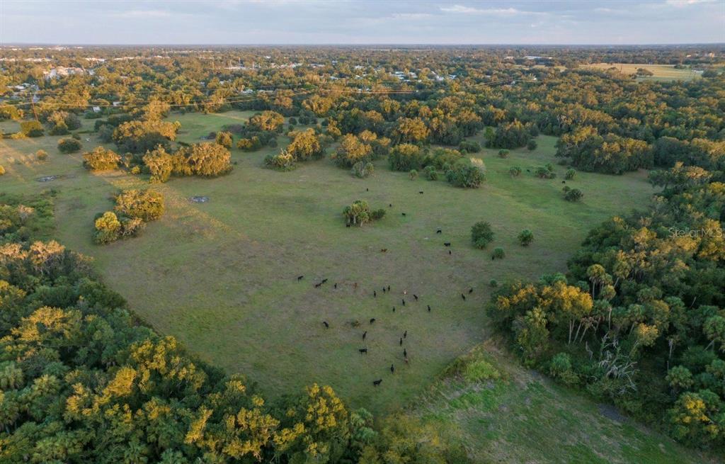 1061 West Harris Road Arcadia, FL 34266 - Photo 2 of 36