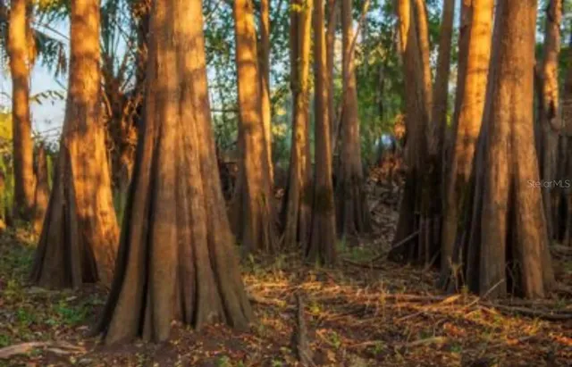 $3,100,000 | 1061 West Harris Road, Arcadia, FL 34266