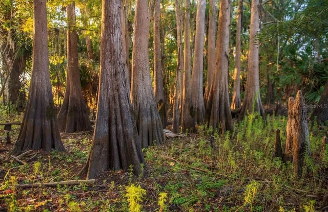 $3,100,000 | 1061 West Harris Road, Arcadia, FL 34266