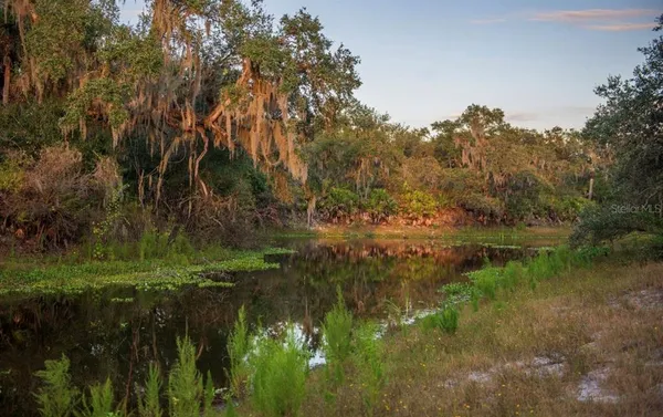 a view of a lake from a yard