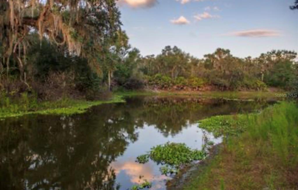 1061 West Harris Road Arcadia, FL 34266 - Photo 26 of 36