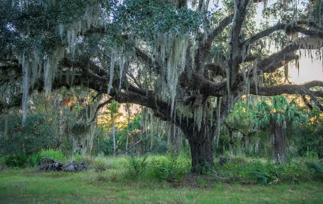 $3,100,000 | 1061 West Harris Road, Arcadia, FL 34266