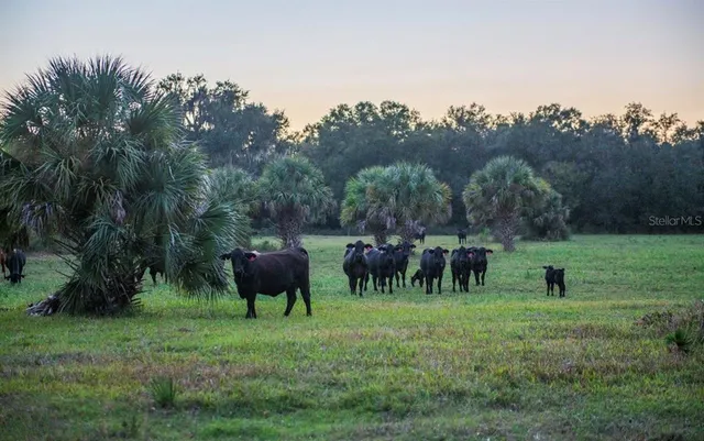 $3,100,000 | 1061 West Harris Road, Arcadia, FL 34266