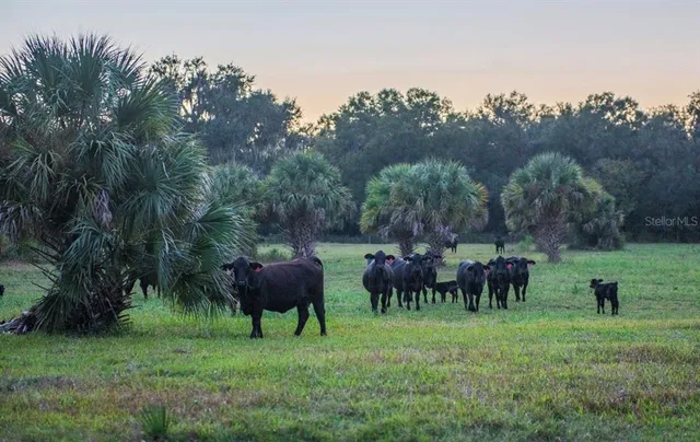 $3,100,000 | 1061 West Harris Road, Arcadia, FL 34266