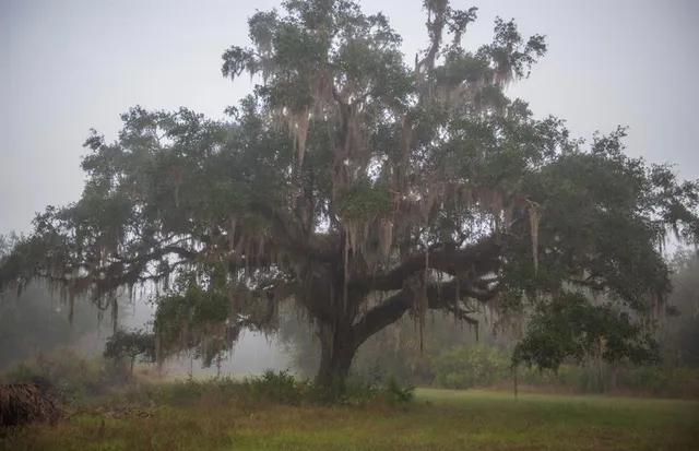 $3,100,000 | 1061 West Harris Road, Arcadia, FL 34266