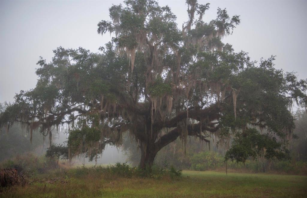 1061 West Harris Road Arcadia, FL 34266 - Photo 32 of 36