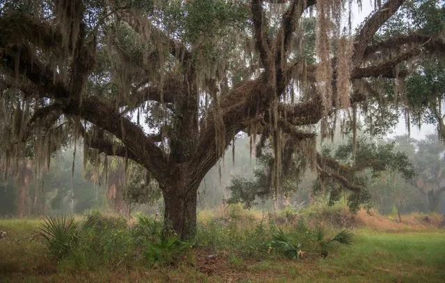 $3,100,000 | 1061 West Harris Road, Arcadia, FL 34266