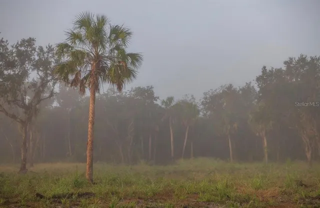 $3,100,000 | 1061 West Harris Road, Arcadia, FL 34266