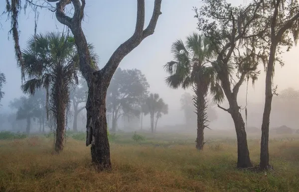 $3,100,000 | 1061 West Harris Road, Arcadia, FL 34266