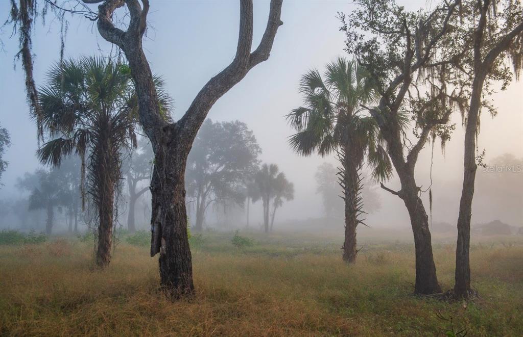 1061 West Harris Road Arcadia, FL 34266 - Photo 36 of 36