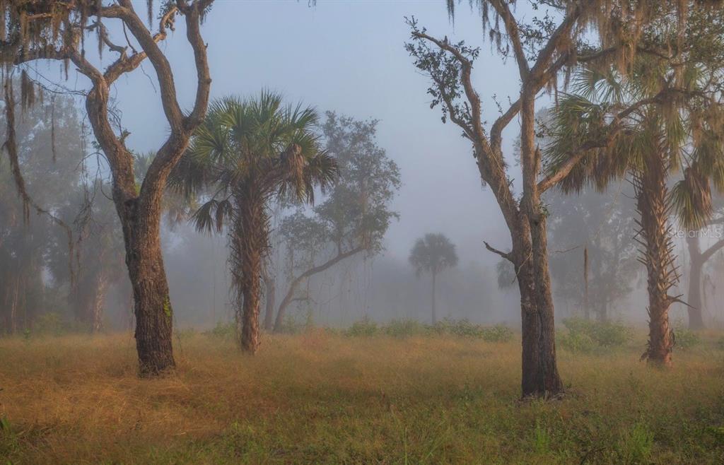 1061 West Harris Road Arcadia, FL 34266 - Photo 9 of 36