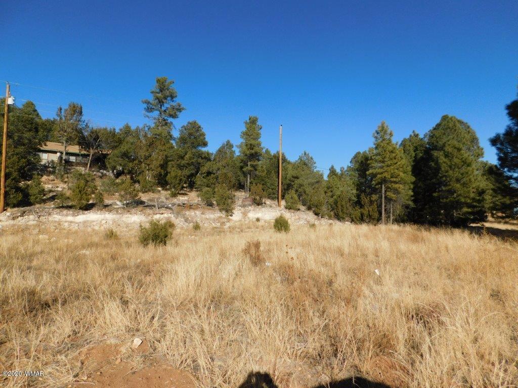 2006 Highway 277 Overgaard, AZ 85933 - Photo 2 of 4