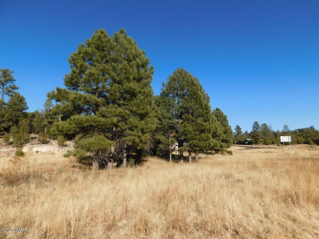2006 Highway 277 Overgaard, AZ 85933 - Photo 4 of 4