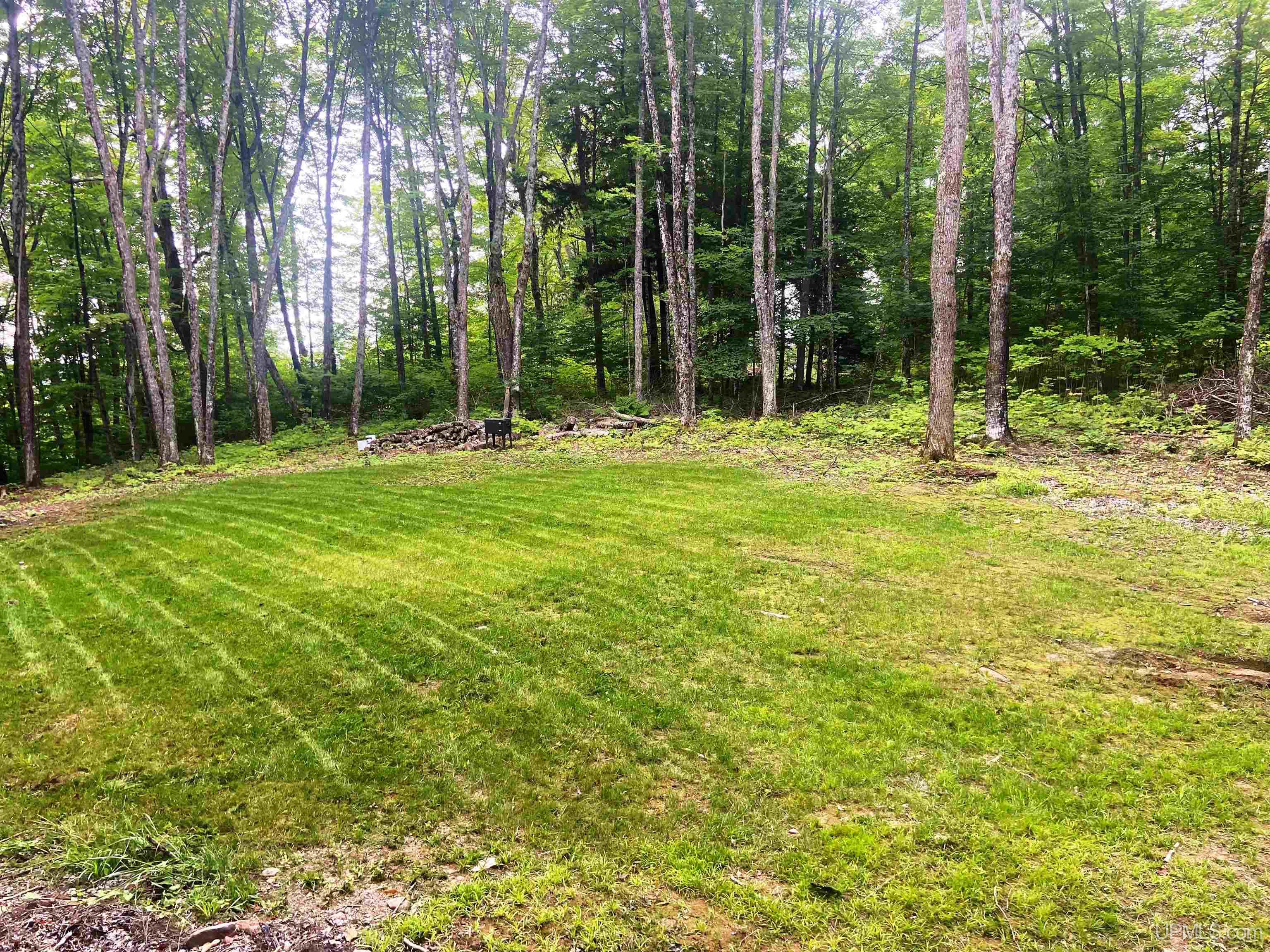Tbd West Tamarack Lake Road, Unit LOT 5 Watersmeet, MI 49969 - Photo 5 of 66
