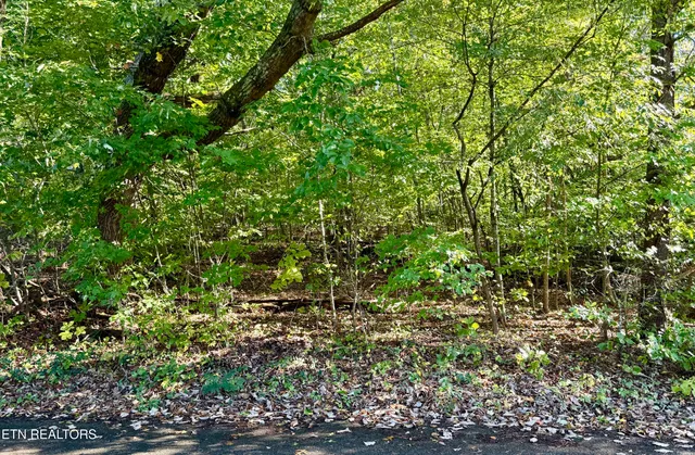 $22,900 | Reagan Street, Harrogate, TN 37752