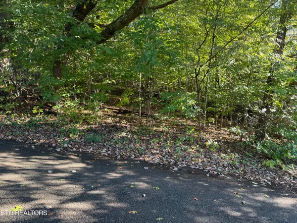 $22,900 | Reagan Street, Harrogate, TN 37752