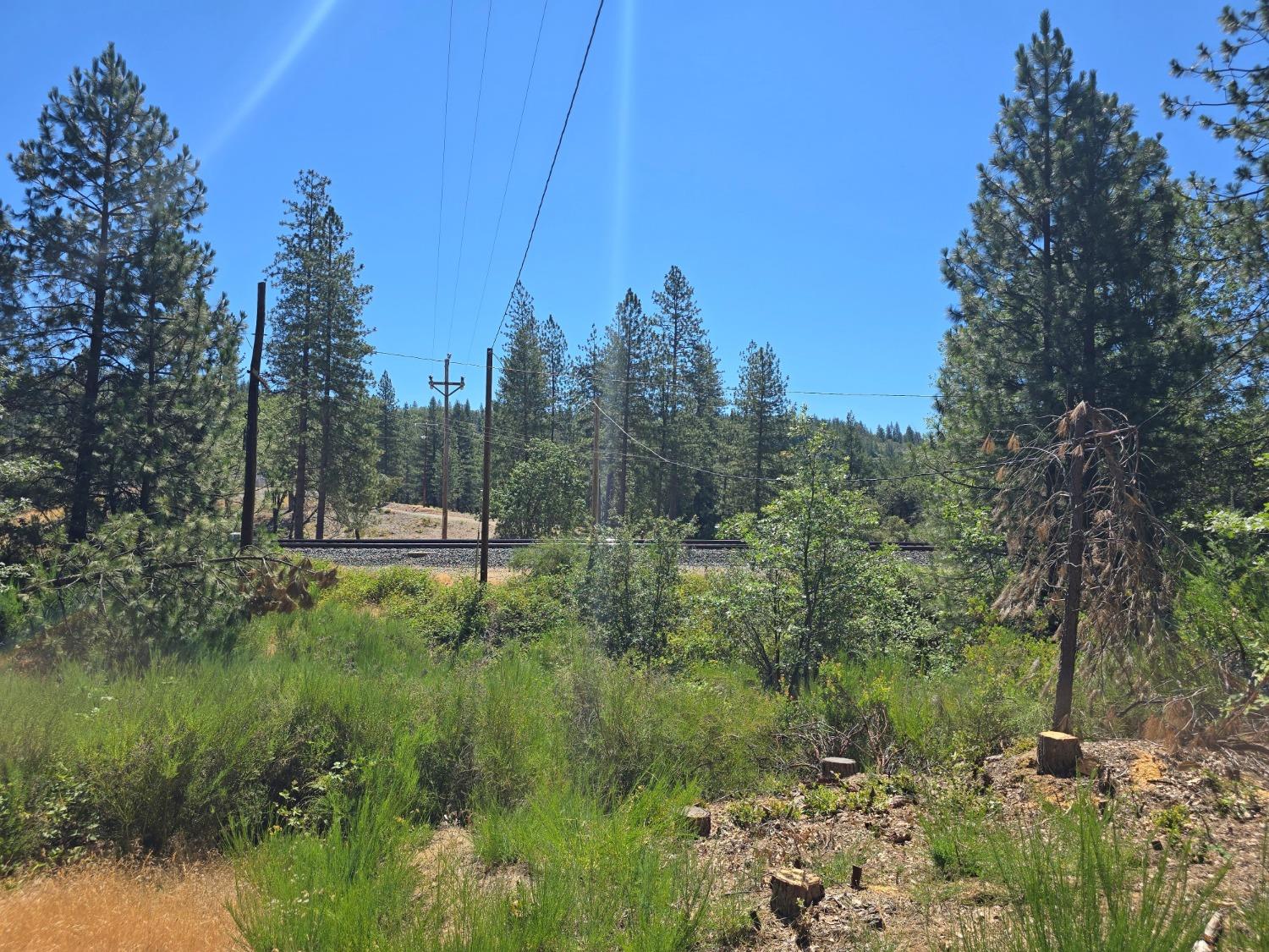 25840 Rollins Lake Road Colfax, CA 95713 - Photo 15 of 21 a view of a garden with a tree