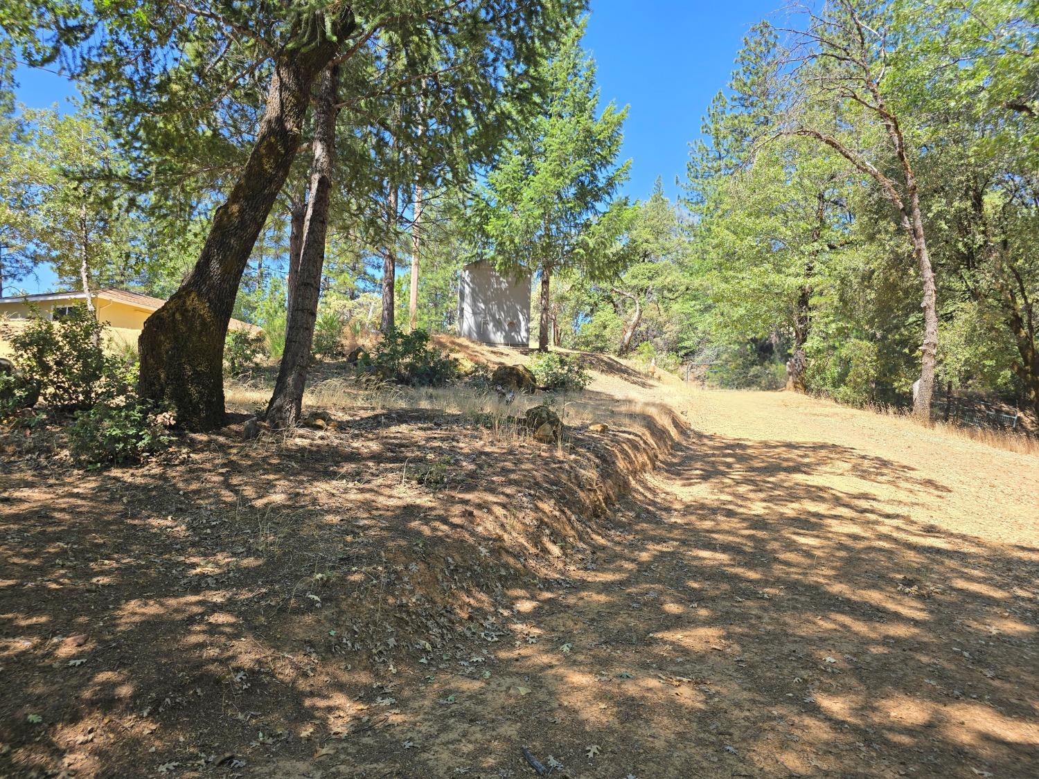 25840 Rollins Lake Road Colfax, CA 95713 - Photo 19 of 21 a view of a tree in the middle of a yard