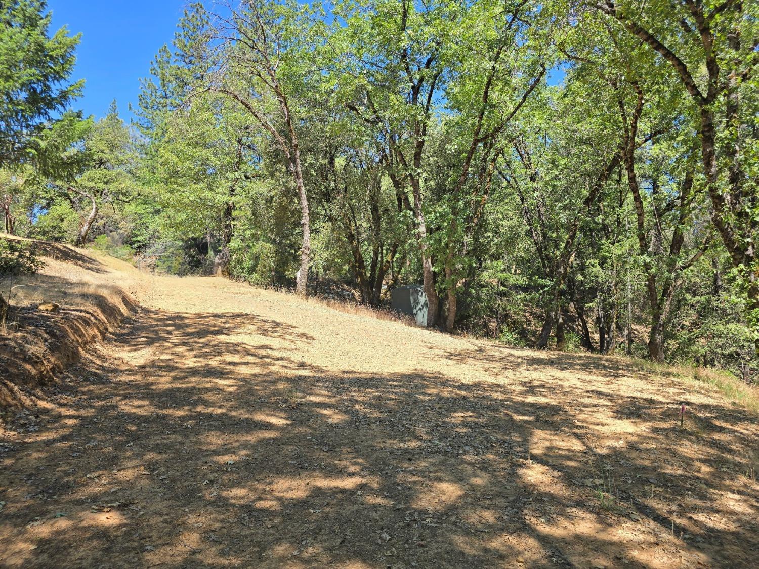 25840 Rollins Lake Road Colfax, CA 95713 - Photo 20 of 21 a view of a yard with a tree