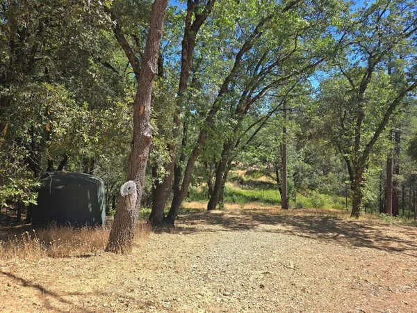 a view of outdoor space and yard