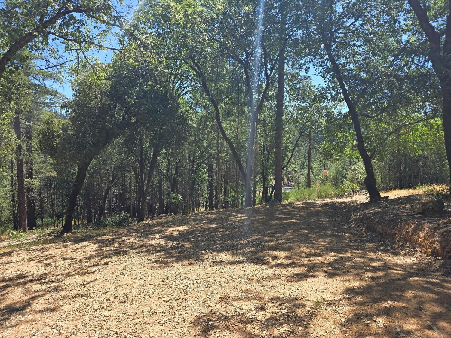25840 Rollins Lake Road Colfax, CA 95713 - Photo 4 of 21 a fire hydrant in the middle of a field