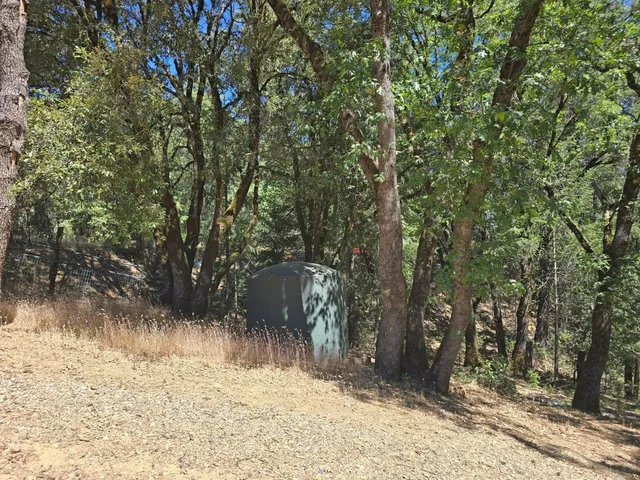 a view of a yard with a tree