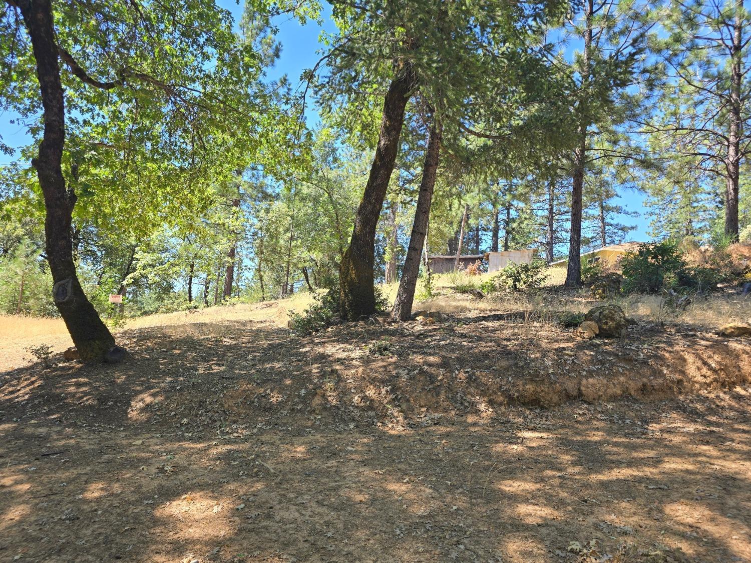 25840 Rollins Lake Road Colfax, CA 95713 - Photo 8 of 21 a backyard of a house with lots of green space