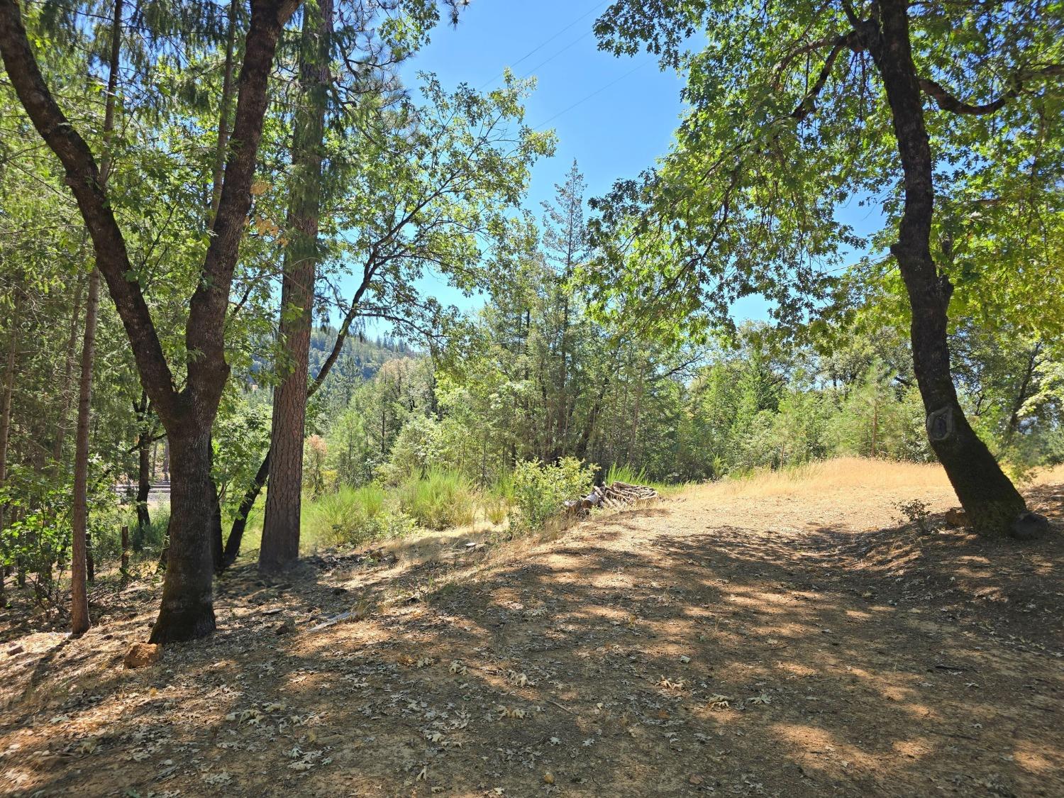 25840 Rollins Lake Road Colfax, CA 95713 - Photo 9 of 21 a view of a tree in the middle of a yard