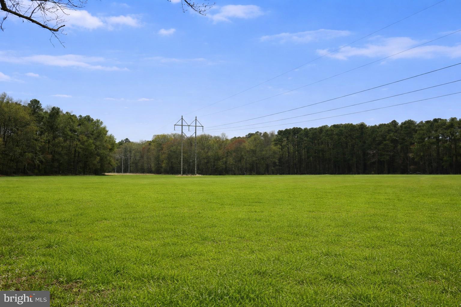 1324 Hillman Road Pocomoke City, MD 21851 - Photo 4 of 4