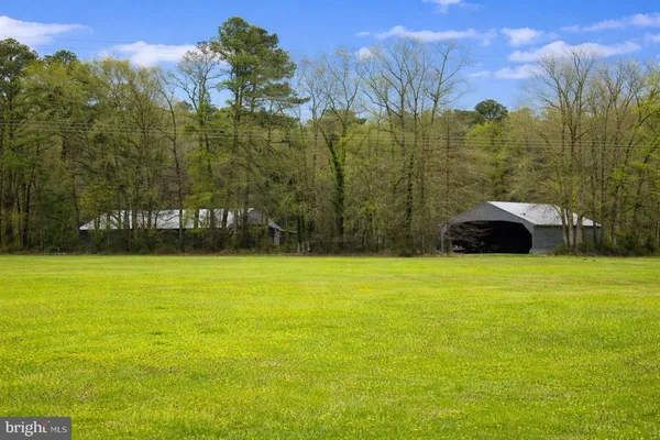 a view of a big yard