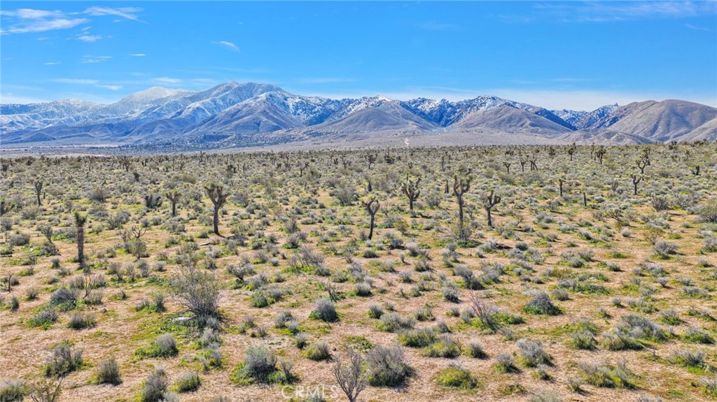 0 Joshua Road Apple Valley, CA 92308 - Photo 3 of 12 a view of a yard with a mountain