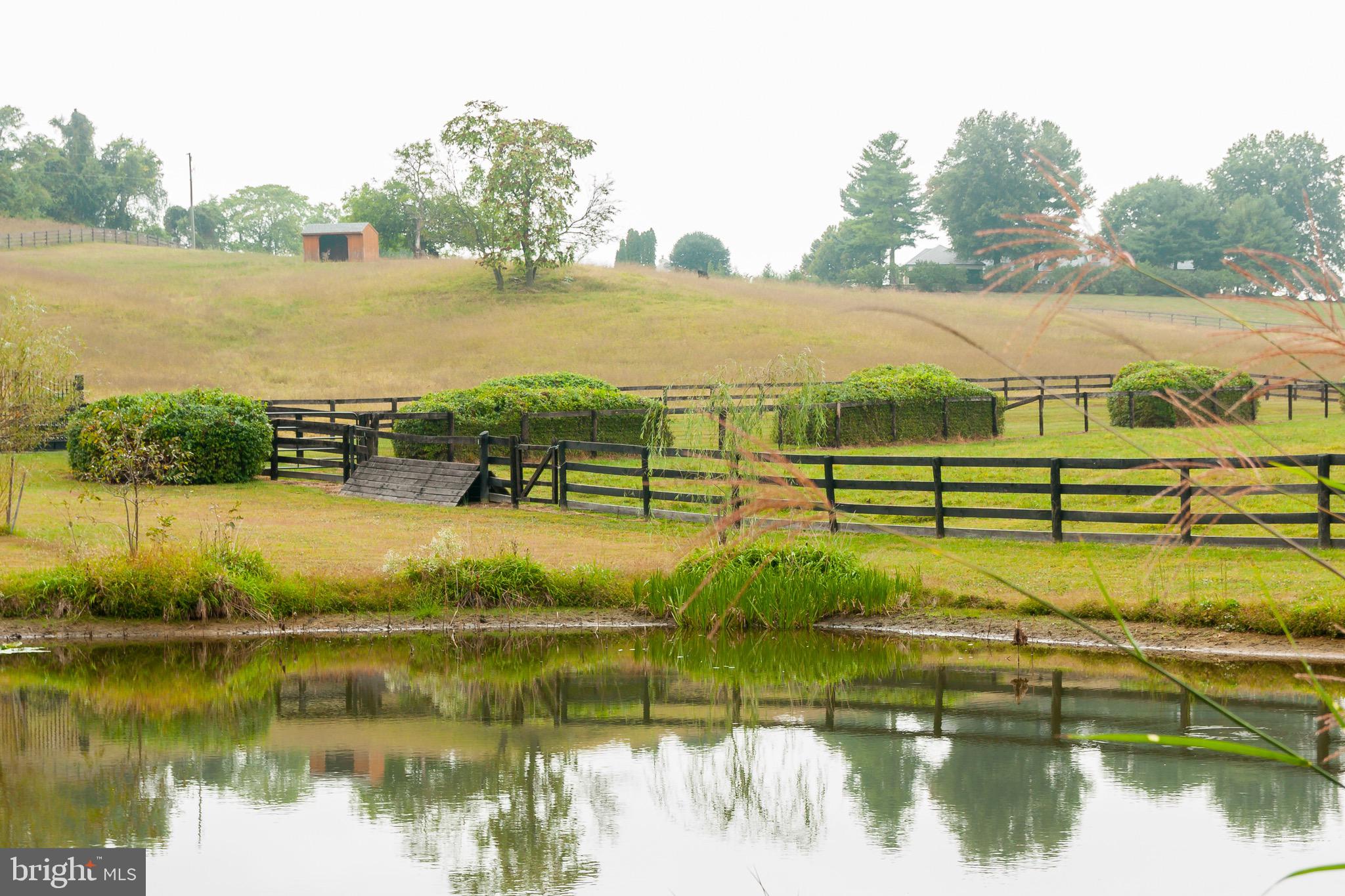 3656 Zulla Road The Plains, VA 20198 - Photo 4 of 81 Pond on Property