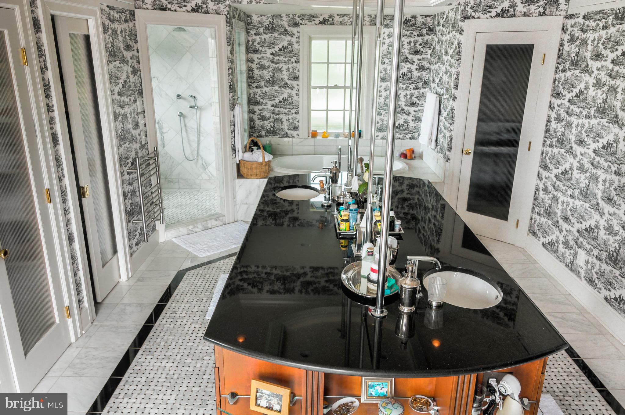 3656 Zulla Road The Plains, VA 20198 - Photo 36 of 81 Bath (Master