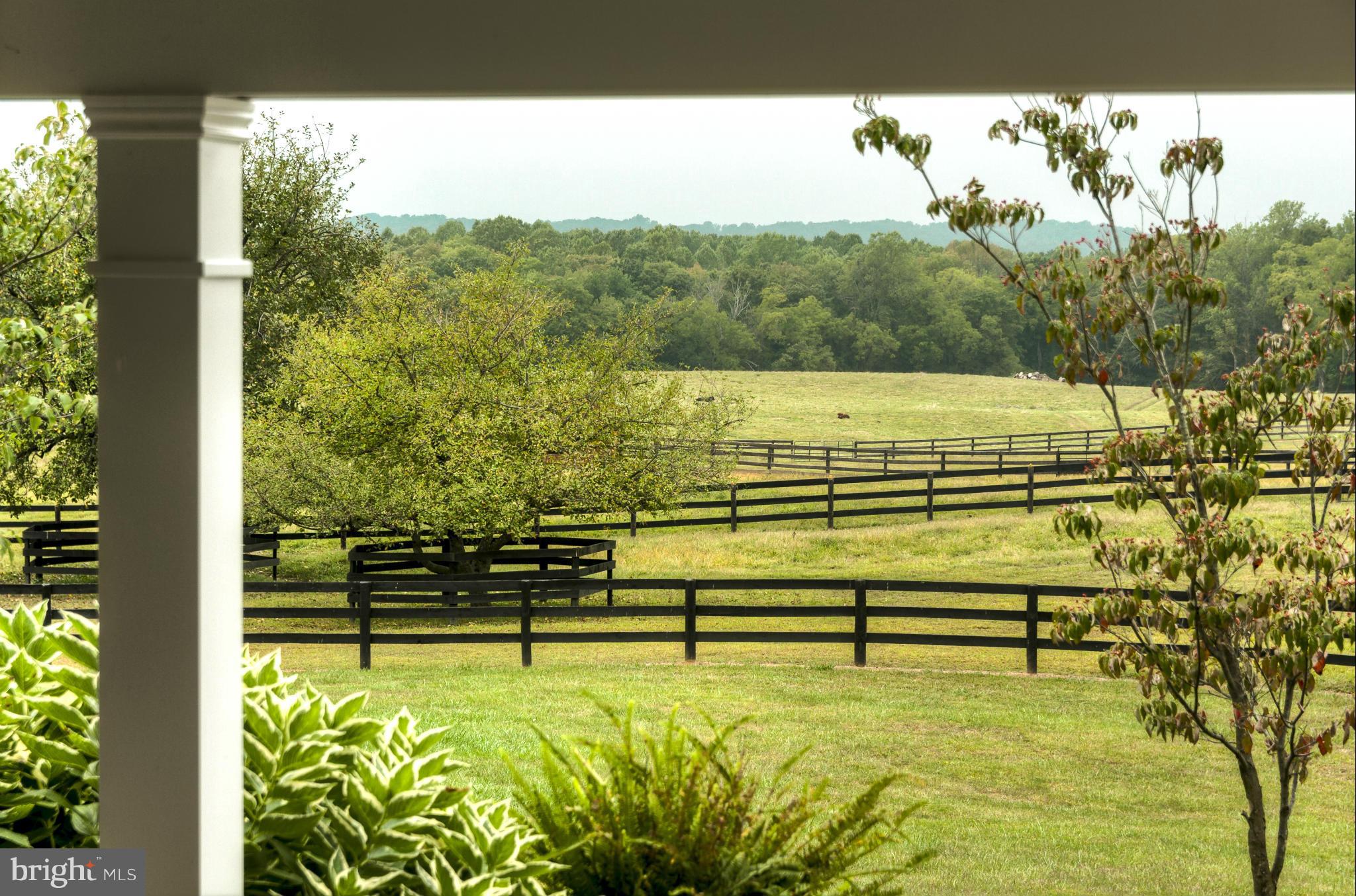 3656 Zulla Road The Plains, VA 20198 - Photo 54 of 81 View
