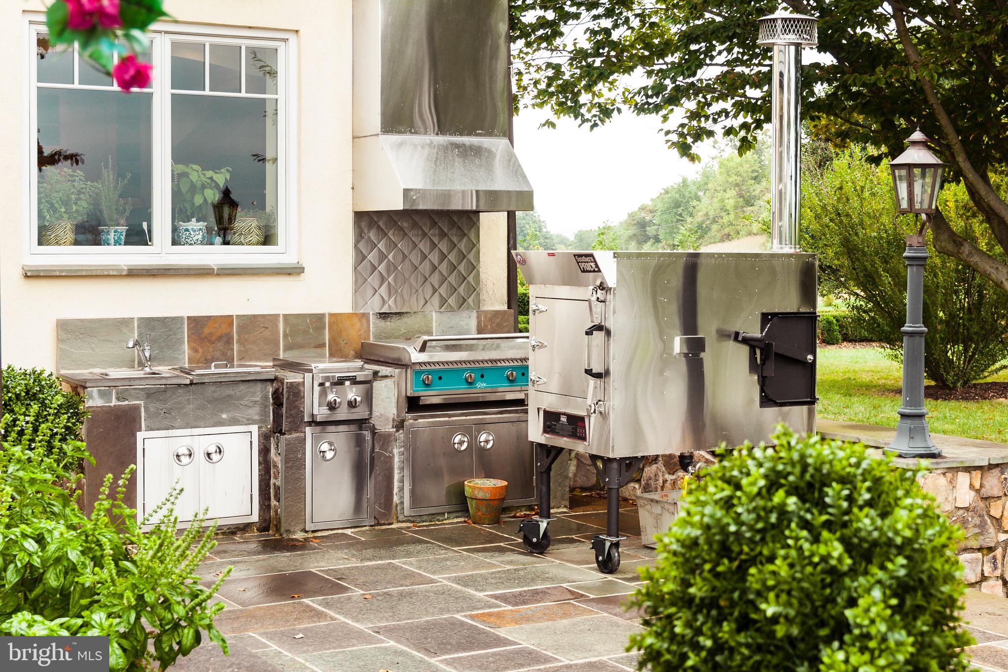 3656 Zulla Road The Plains, VA 20198 - Photo 57 of 81 Outdoor Kitchen