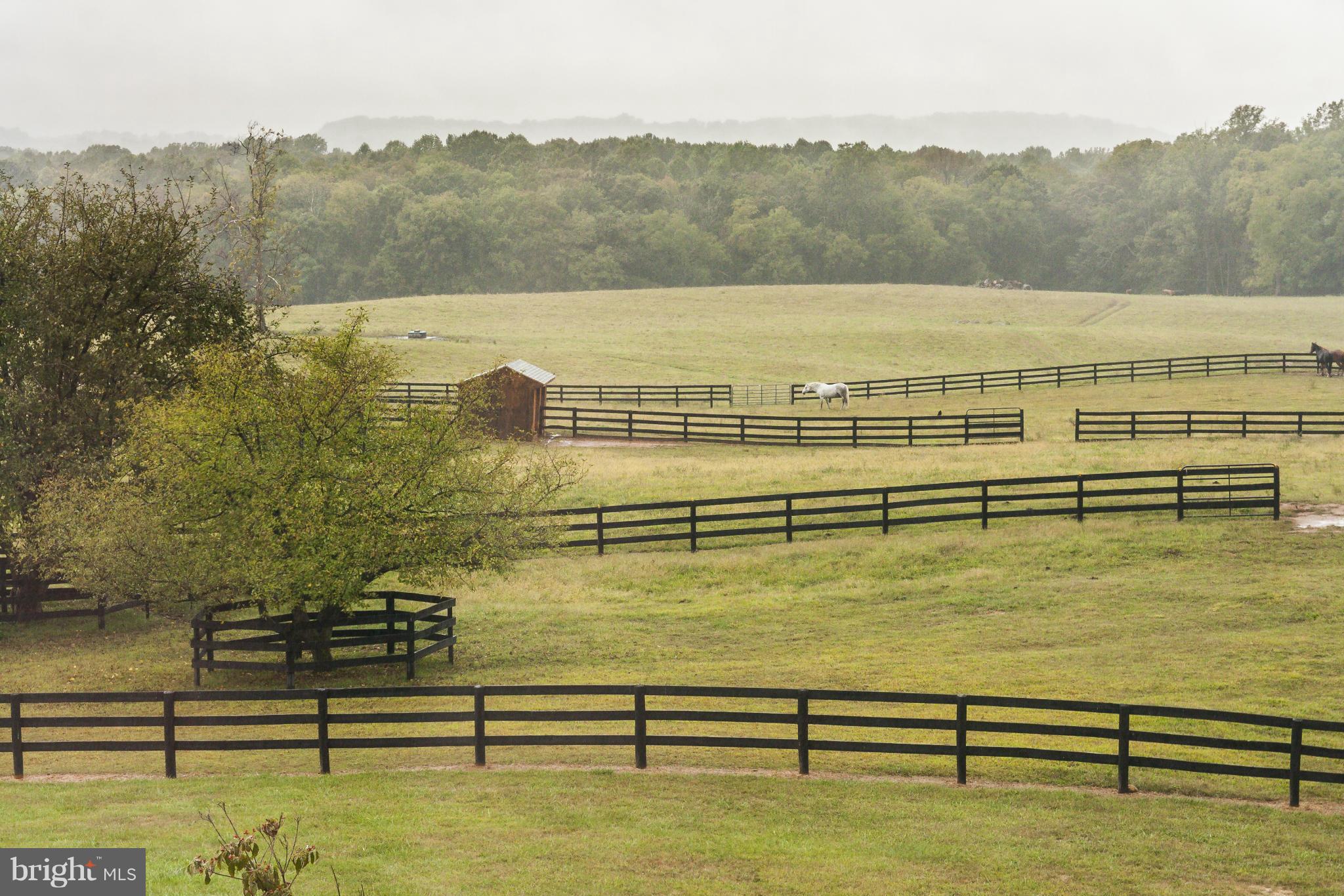 3656 Zulla Road The Plains, VA 20198 - Photo 74 of 81 Exterior (Rear)