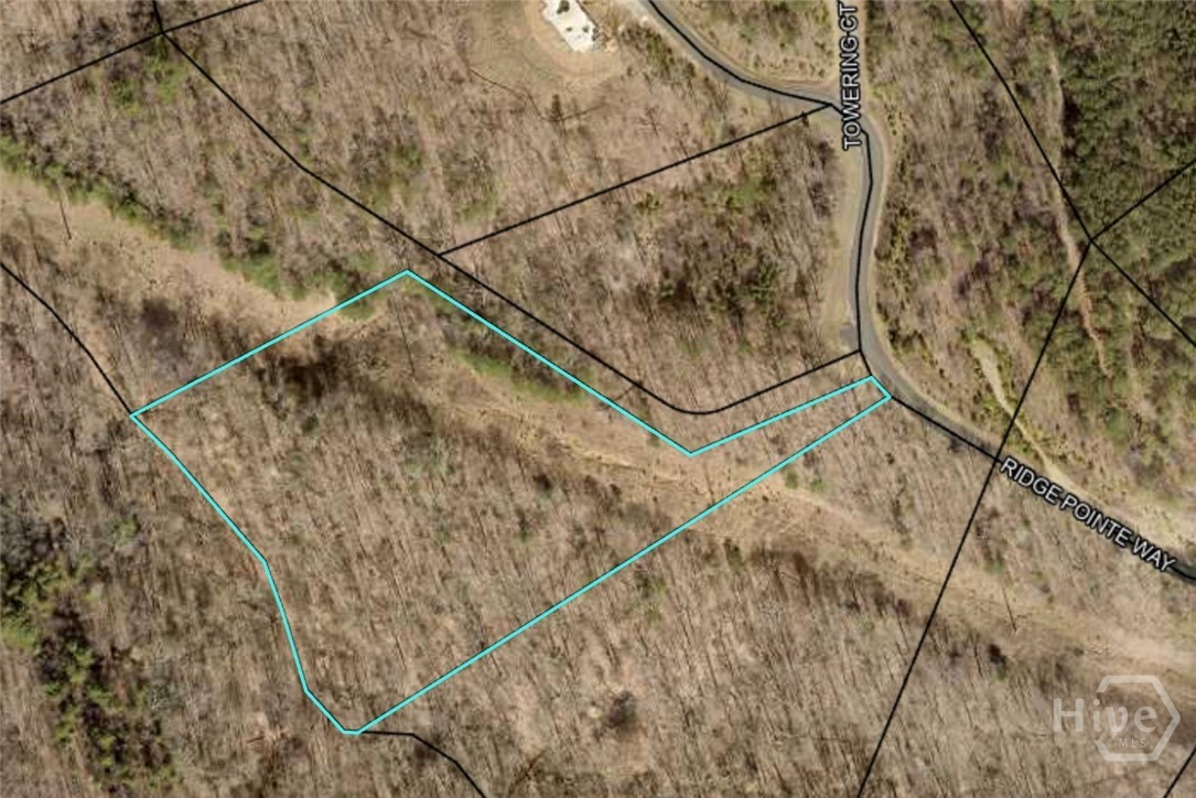 0 Ridge Pointe Way Townsend, GA 31331 - Photo 1 of 1